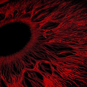 成人免费无码视频
