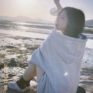 成人免费无码视频
