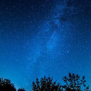 成人免费无码视频
