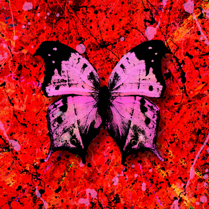 成人免费无码视频
